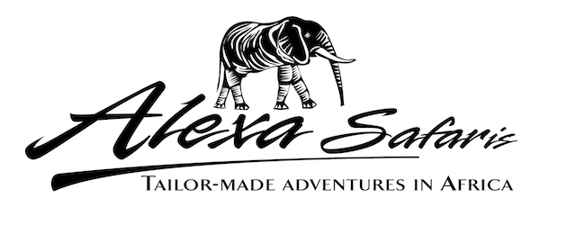 Alexa Safaris